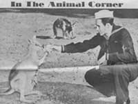 In the Animal Corner - Oct. 18, 1942 from New York Sunday News